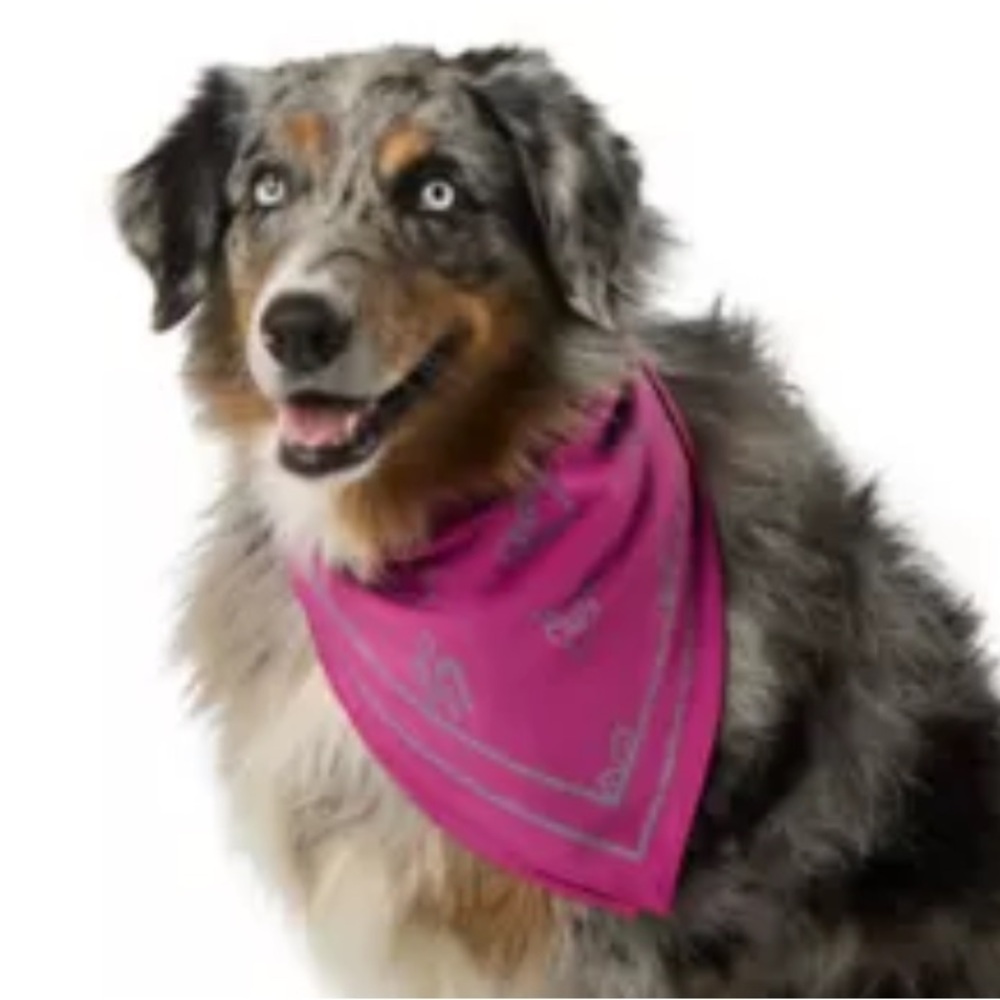 New Arcadia Trail Icons high Visibility Dog Bandana XS/S